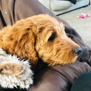 Meet your Posher, Timinee